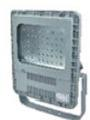 CZ0878/221B、CZ0878/221F 防爆 LED 泛光燈(寬光型、窄光型、路燈型)